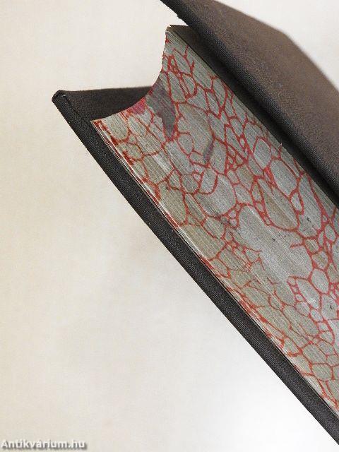 Abbé Rohrbacher's Universalgeschichte der katholischen Kirche 13. (gótbetűs)