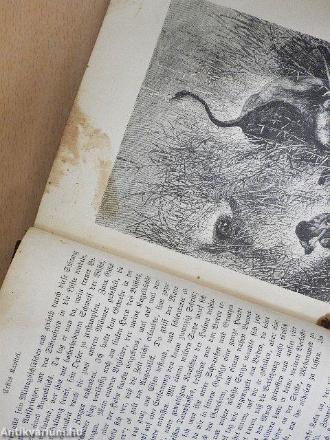 Im Herzen von Afrika (gótbetűs)