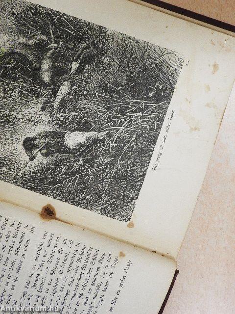 Im Herzen von Afrika (gótbetűs)