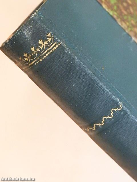 Gott im Menschen (gótbetűs)