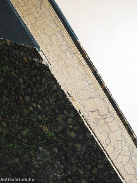 Gott im Menschen (gótbetűs)