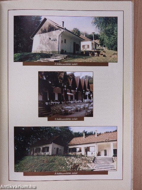 Az állami közútkezelés 40 éve