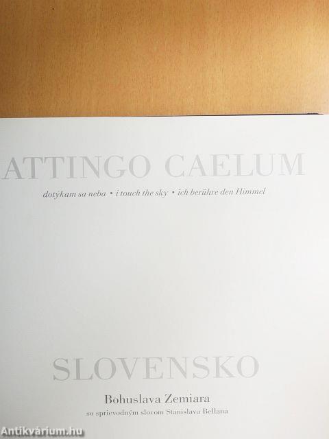 Attingo Caelum - Slovensko