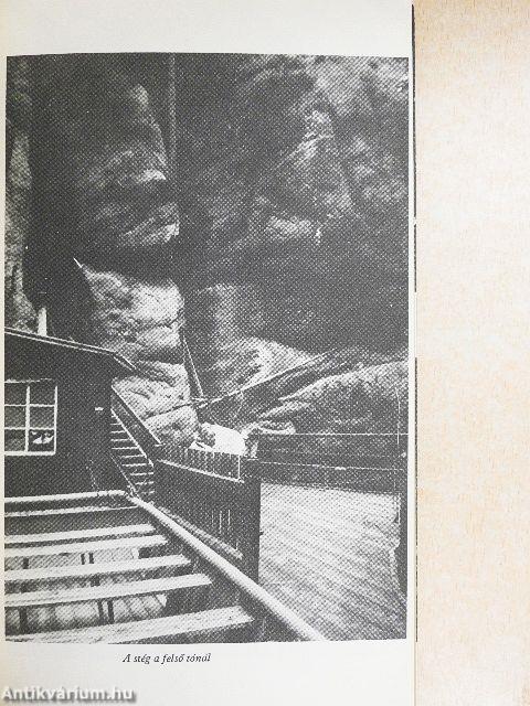 Az óriás kísértet mosolya