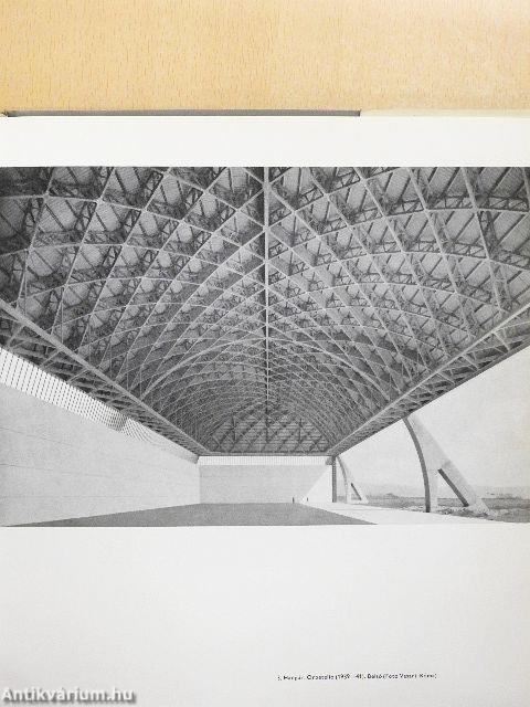 Pier Luigi Nervi