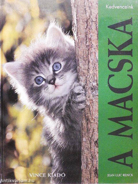 A macska