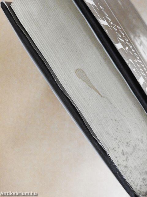 Wilhelm Meister vándorévei avagy A lemondók