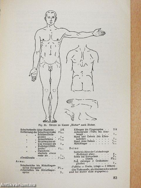 Anatomisches Taschenbuch für Künstler