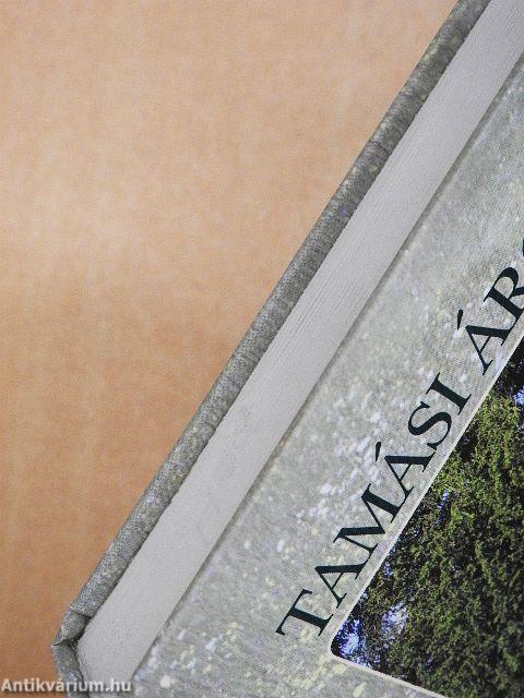 Gyökér és vadvirág