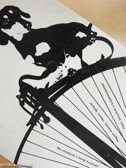 400 tanács kutyakedvelőknek