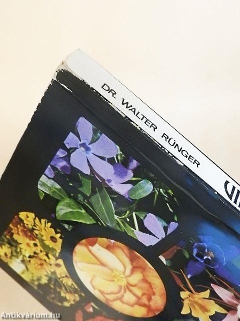 Virágképződés és virágfejlődés