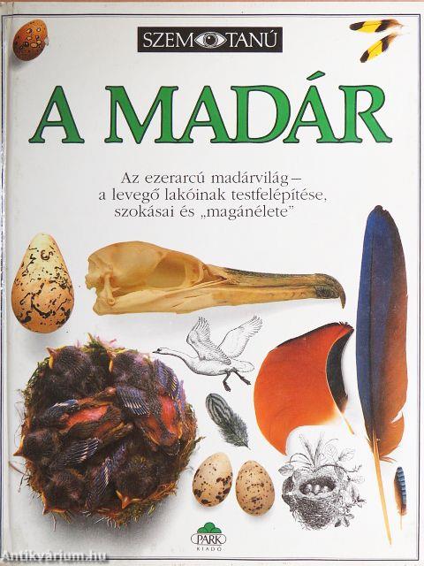 A madár