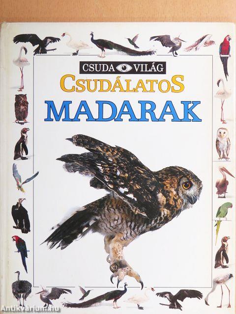 Csudálatos madarak