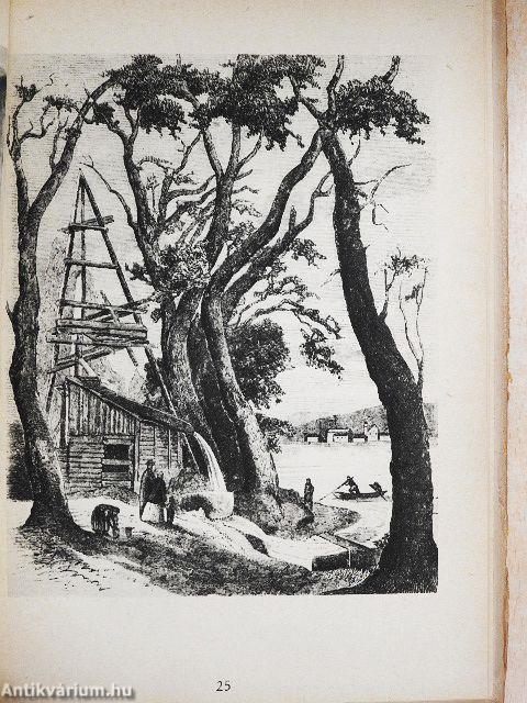 Budapest régi fürdői