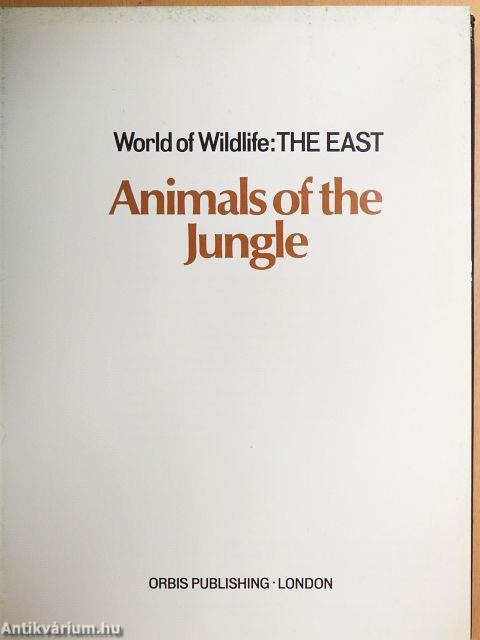 Animals of the Jungle