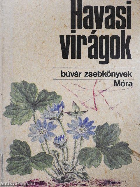 Havasi virágok