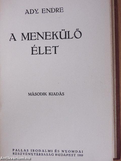 A minden titkok versei/A menekülő élet