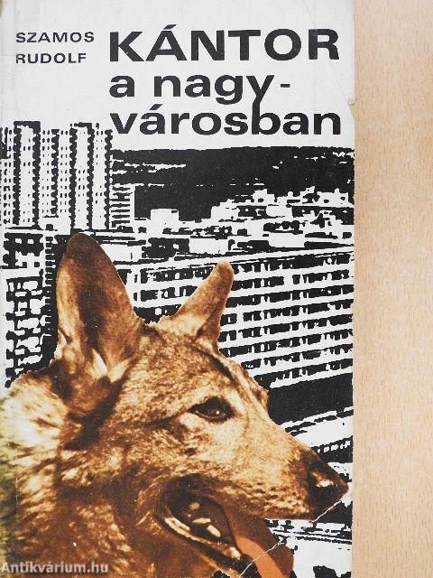 Kántor a nagyvárosban
