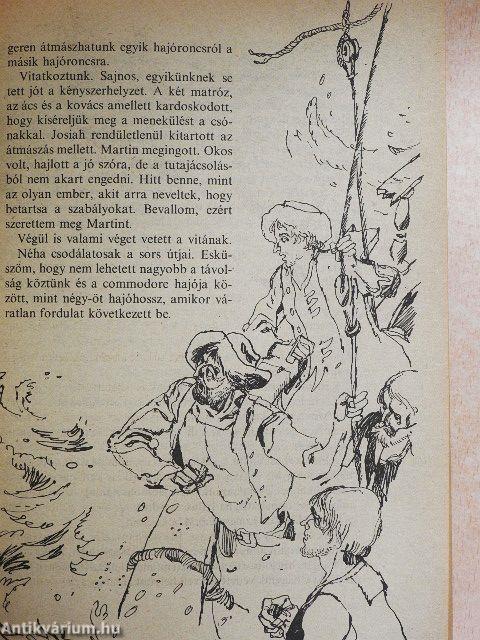 Robinson utolsó kalandja