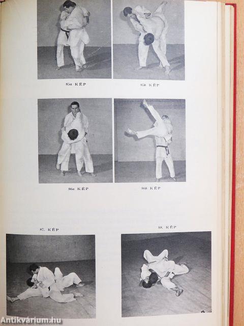 Cselgáncs (judo) és önvédelem (aikido)