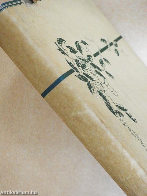 Ragyogó hang (japán nyelvű)