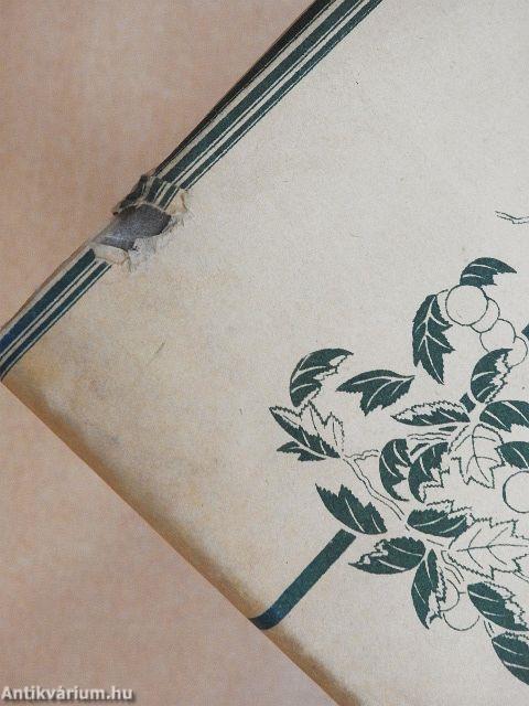 Ragyogó hang (japán nyelvű)