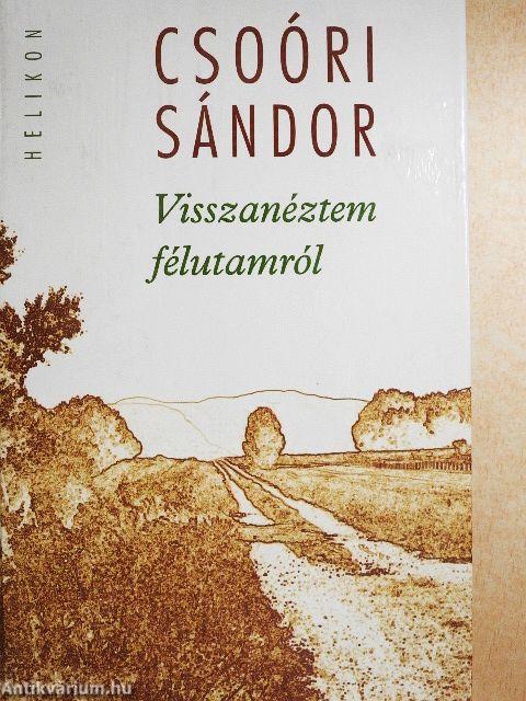 Visszanéztem félutamról