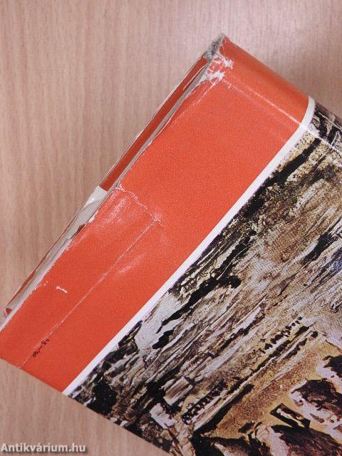 Egyiptomi verőfény