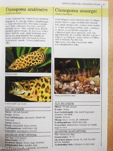 Akvarista kézikönyv