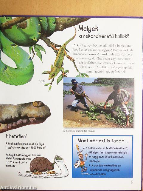 Hüllők