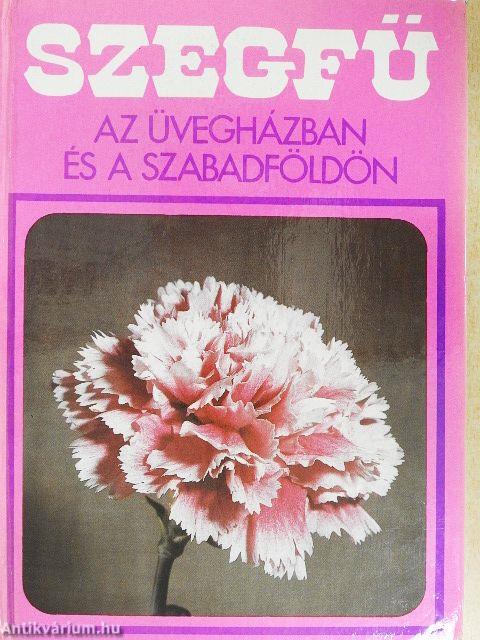 Szegfű az üvegházban és a szabadföldön