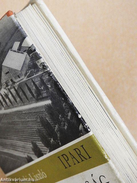 Ipari mezőgazdaság felé