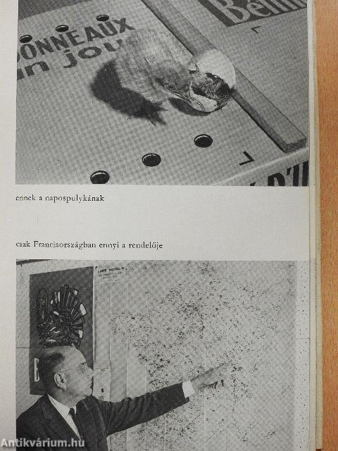 Ipari mezőgazdaság felé