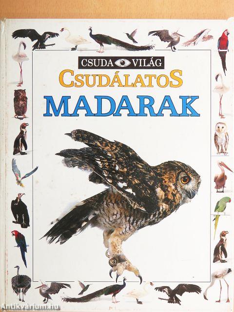 Csudálatos madarak