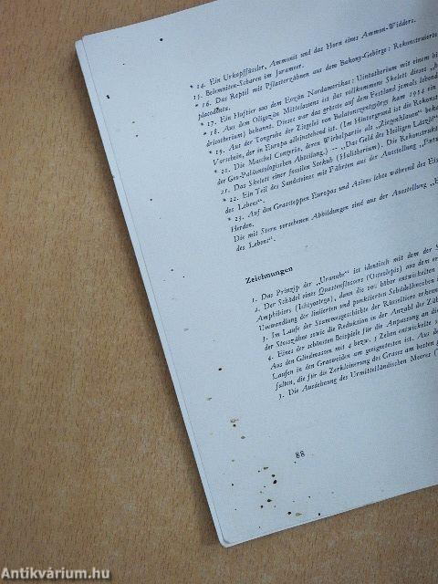 Fejezetek a Föld és az élet fejlődéstörténetéből