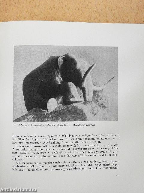 Fejezetek a Föld és az élet fejlődéstörténetéből