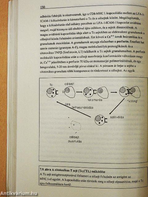 Immunológia