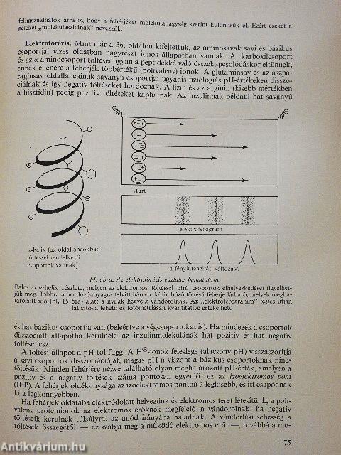 Biokémia