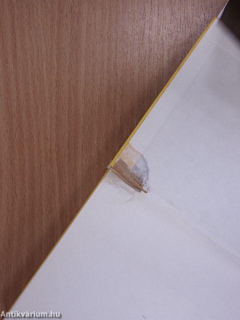 Ki volt Edgar Allan?