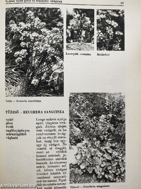 Képes virágábécé