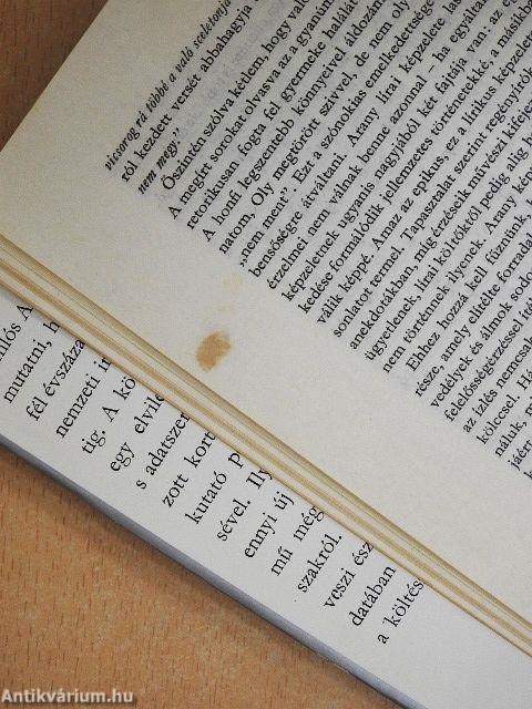 A magyar költészet Petőfitől Adyig