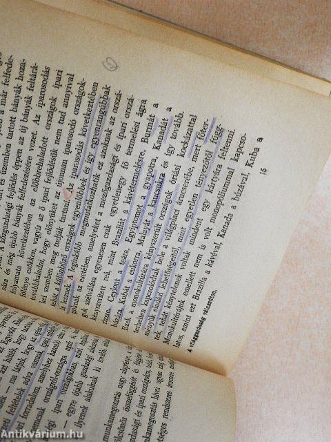 A világgazdaság válaszúton