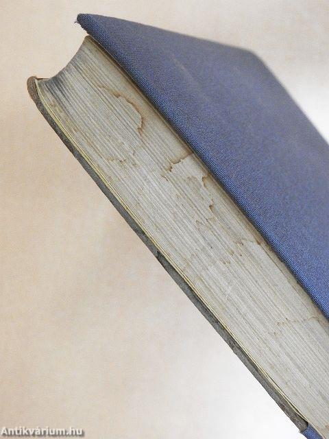 Társalgási alapon szerkesztett új német nyelvtan