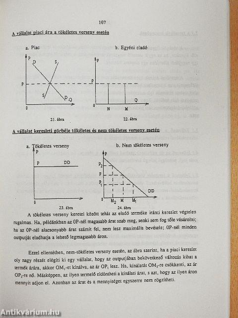 Közgazdaságtan alapjai I.