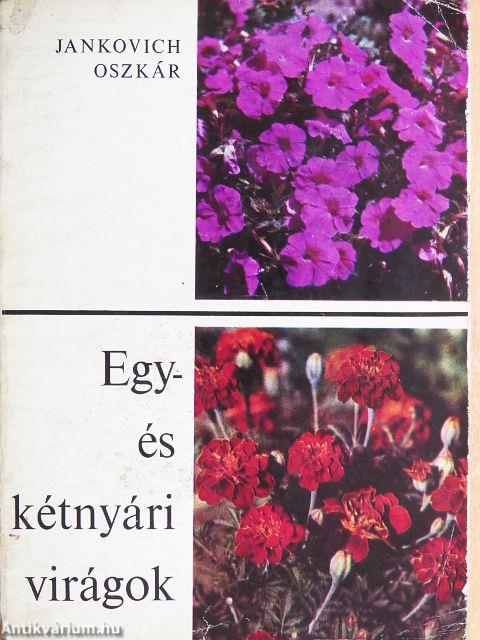 Egy- és kétnyári virágok