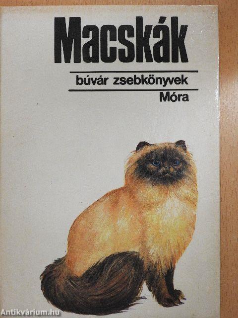 Macskák