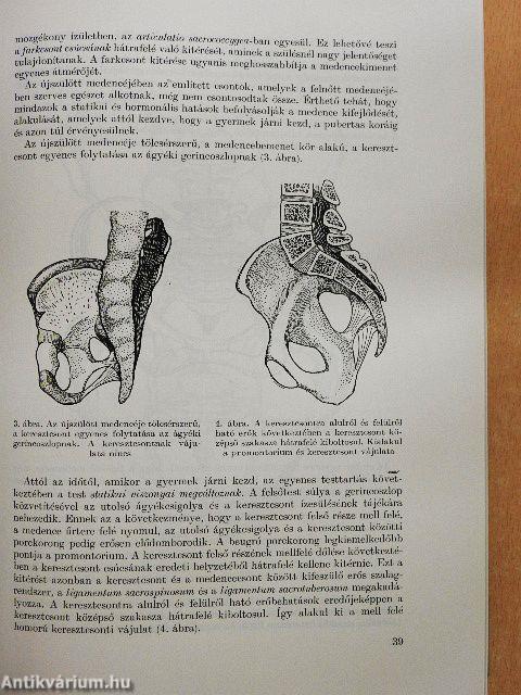 A szülészet tankönyve