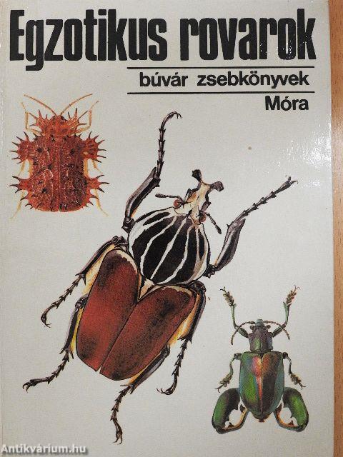 Egzotikus rovarok