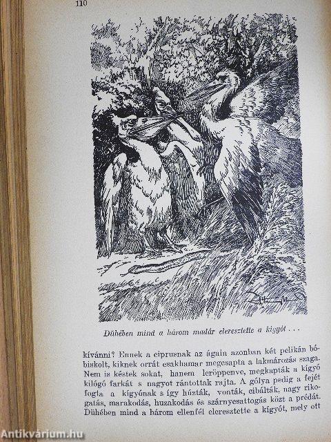 Vadászkalandok vad tájakon