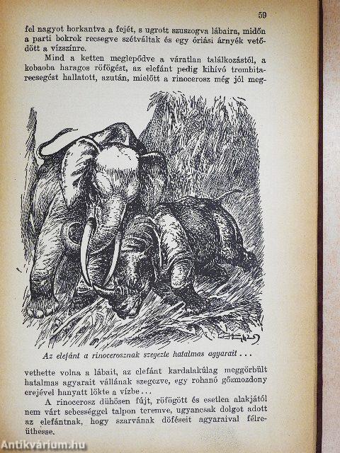 Vadászkalandok vad tájakon